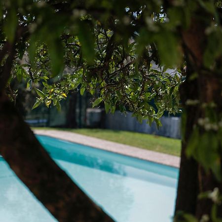 Casa Do Vale -Villa Rio Minho-Seixas-카민하 외부 사진