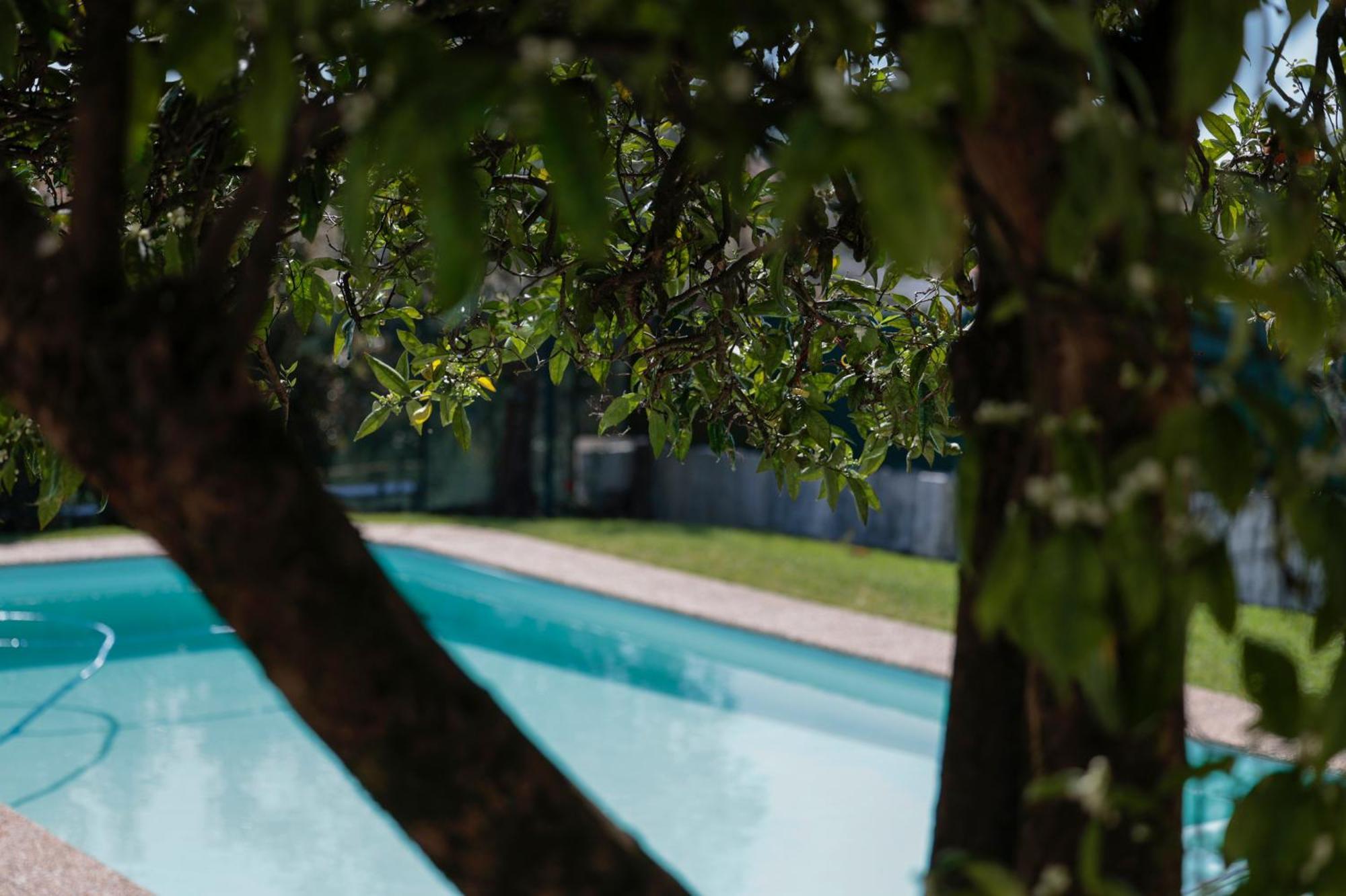 Casa Do Vale -Villa Rio Minho-Seixas-카민하 외부 사진